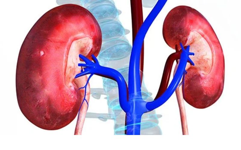 Tình trạng xuất hiện biến chứng thận của người tiểu đường trở nên đáng báo động