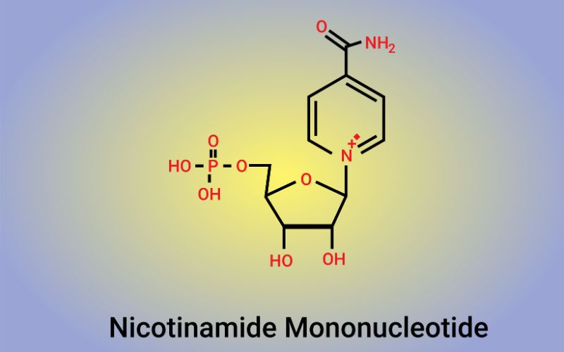 NMN hay còn gọi là Nicotinamide Mononucleotide, đóng vai trò quan trọng trong việc duy trì mức&nbsp;NAD+ trong cơ thể.