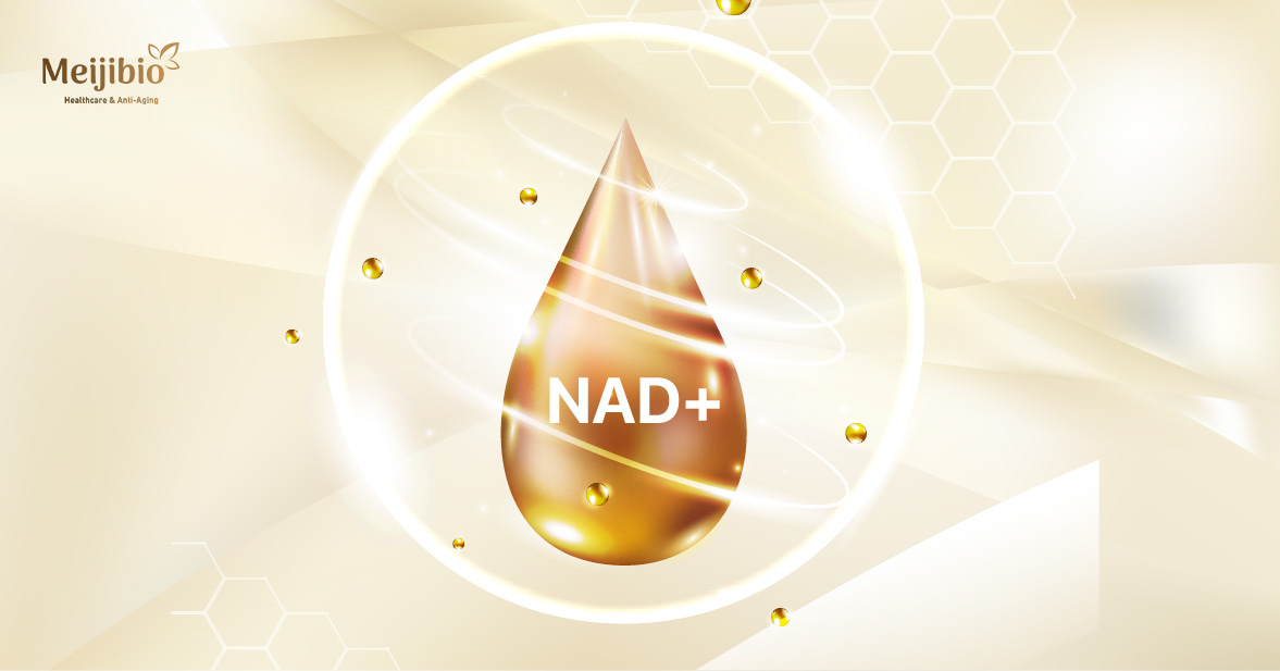 NAD+ là gì