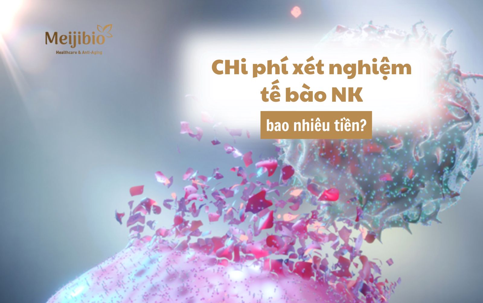 Chi phí xét nghiệm tế bào NK bao nhiêu tiền?